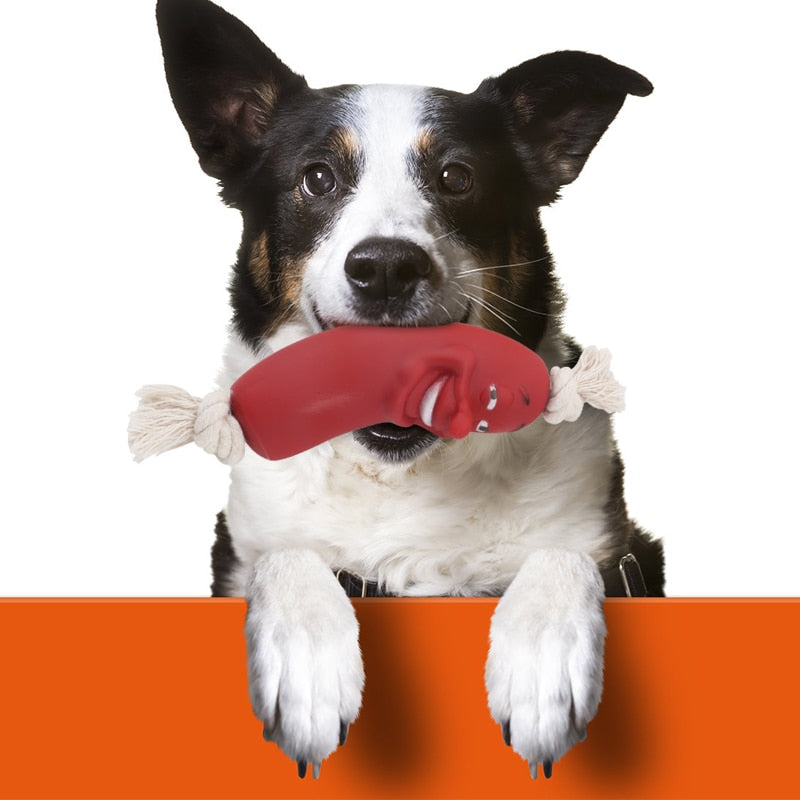 Juguetes para perros, limpiador de dientes molares para mascotas, palo de cepillado, juguete para masticar para perros, cepillo dental para perros, cuidado Dental para cachorros y perros