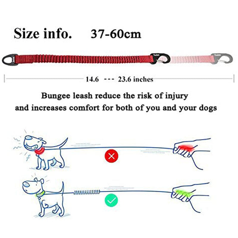 Correa elástica corta Truelove para perros, correa de nailon, extensión retráctil en amortiguador elástico, entrenamiento para correr y caminar para perros