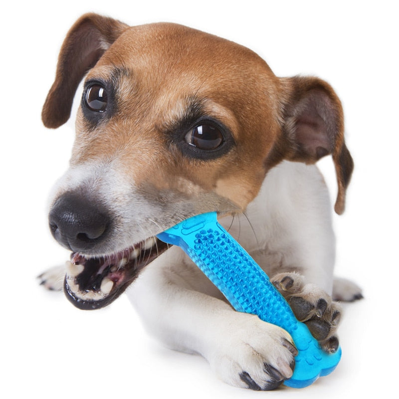Juguetes para perros, limpiador de dientes molares para mascotas, palo de cepillado, juguete para masticar para perros, cepillo dental para perros, cuidado Dental para cachorros y perros