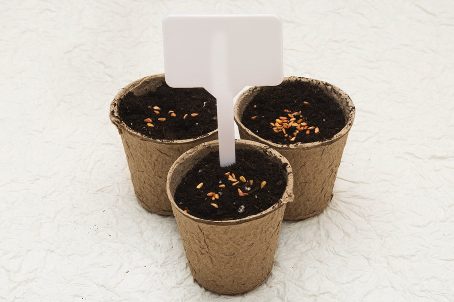 Macetas de cartón biodegradables