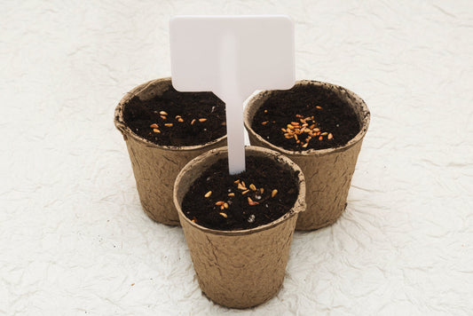 Macetas de cartón biodegradables