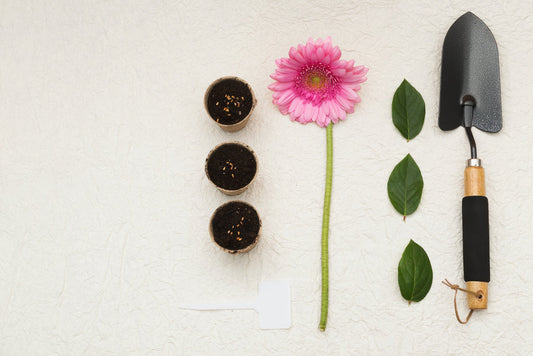 Paleta de jardinería